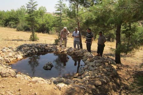 Ardıç kuşları için 450 havuz
