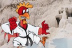 Pamukkale Karate Turnuvası 6 Eylül’de