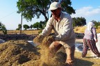 Çiftçilere hibe desteği müjdesi!