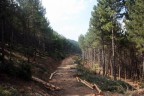 Denizli Honaz Dağı Milli Parkı’na bakım