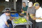 Denizli Kale biberine pratik kurutma