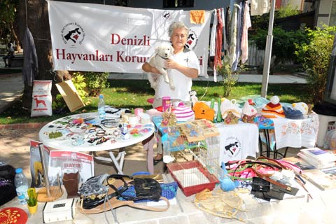Geliri sokak hayvanlarına harcanacak