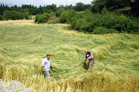 2-B için son tarih 30 Ekim