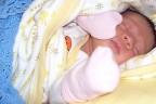 2011’de 12 bin 645 bebek doğdu
