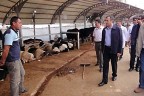 Vali Demir Kurban Pazarı’nı denetledi