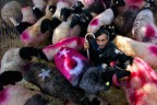 İşte ödül alan fotoğraflar