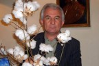 Dikkat! Pamuk ekimi azalıyor