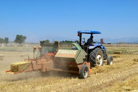 Tarımsal destek için 31 proje başvurusu