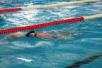 Yüzmede 116 sporcu yarıştı
