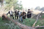 Belediye Zeybekci için ağaç kesti