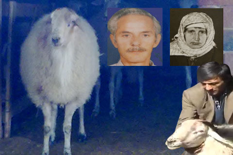 Deda da yaşamını yitirdi