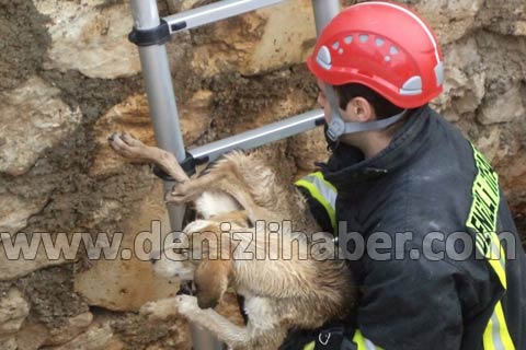 Drenaj kanalına düşen köpeği kurtardılar