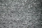 Denizli bu hafta yağmura teslim olacak
