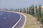 Orman Bölge karayollarını ağaçlandırdı