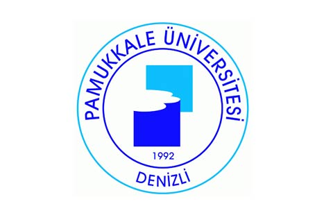 2013 PAÜ’nün AR-GE yılı