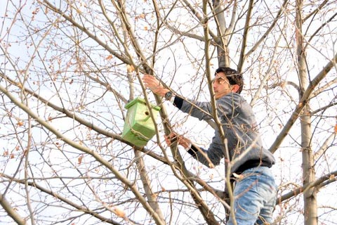 PAÜ öğrencilerinden kuşlara yuva