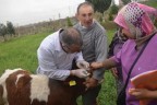 Aşılatmayan yandı