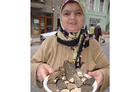 Kilosu 60 liradan satılıyor