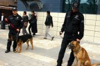 K9’lar toplumsal olaylarda görev yapacak