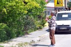 Arılarını alkışla topluyor