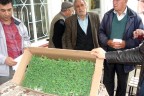 Bekillili çiftçiye alternatif ürün