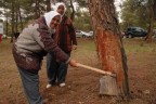 Reçine Çal’ı zengin edecek