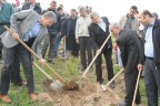 Her üyenin bir fidanı var