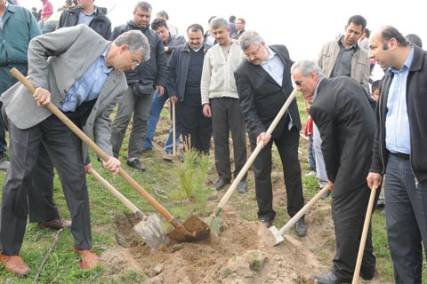 Her üyenin bir fidanı var