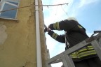 İtfaiyeden kuş kurtarma operasyonu