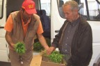 Tavas’ın yeni gözdesi “Kapya Biber”