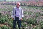 Aromatik bitkiler kazandırıyor