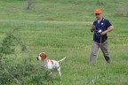 Avcılar prestij köpekler mama için yarıştı