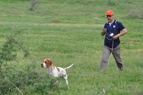 Avcılar prestij köpekler mama için yarıştı