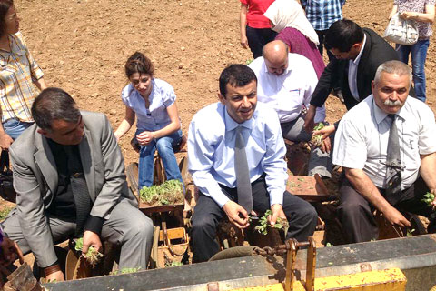 CHP sahaya erken indi