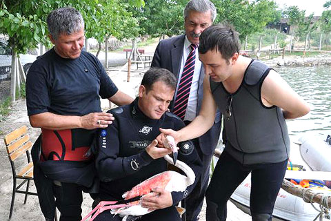 Yaralı flamingoyu itfaiye kurtardı