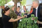 Merkezefendi Tıp Festivali başladı
