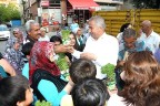 Belediyeden 2 kamyon fesleğen