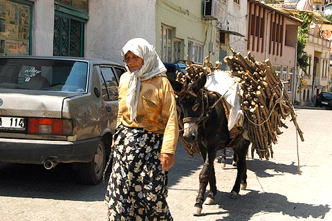 Fatma Teyze 30 yıldır odun satıp geçimini sağlıyor