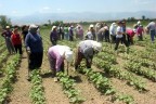 CHP’li kadınlar çapa yaptı bez dokudu