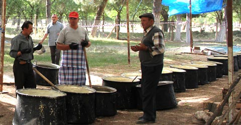 denizli-kizilcaboluk-festival (2)