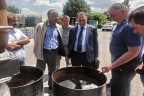 İşlenmiş reçine ihraç edilecek