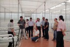 Denizli Tokat’a örnek olacak