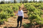 Şaraplık üzüm üreticisi dertli