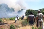 Anız ateşi 5 hektar ormanı yaktı