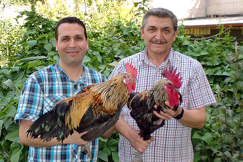 ‘Dedektif Horoz’ projesine destek
