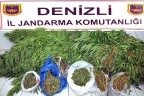 Jandarma’dan 14 operasyon