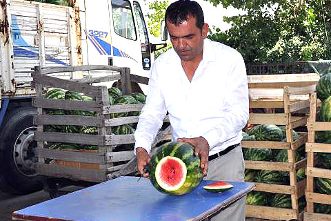 “Karpuz fiyatları artacak”