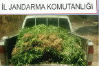 Zehir tacirlerine 8 ilçede 13 darbe