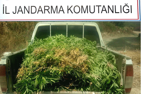 Zehir tacirlerine 8 ilçede 13 darbe
