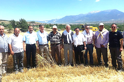 “Saman balyası altından değerli “